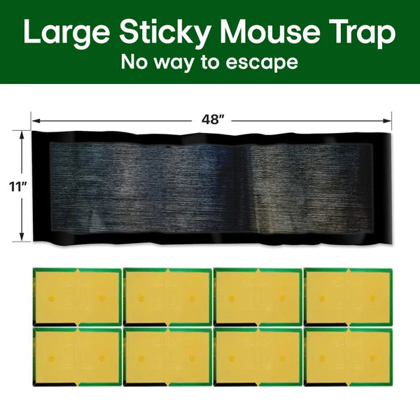 💥Limited Time 49% OFF🔥Large Sticky Mouse Trap